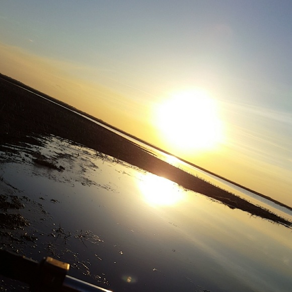 Meet your Posher, Jade - Picture 1 of 1